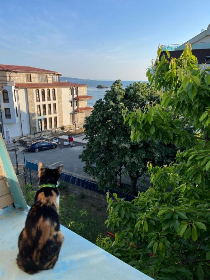 Amadina Garden Ξενοδοχείο Lozenets Εξωτερικό φωτογραφία